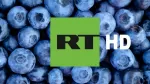 RT TV HD